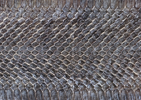 皮革纹理素材图片