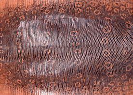 皮革纹理素材图片