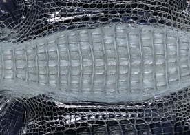 皮革纹理素材图片