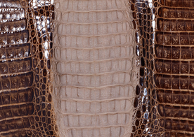 皮革纹理素材图片