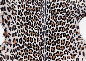 皮革纹理素材图片