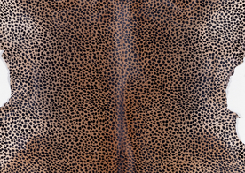 皮革纹理素材图片