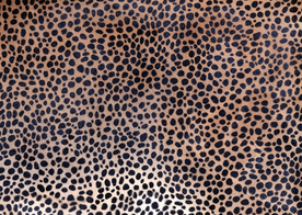 皮革纹理素材图片