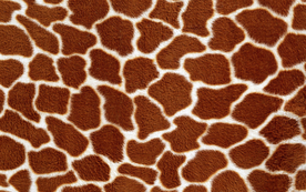 皮革纹理素材图片