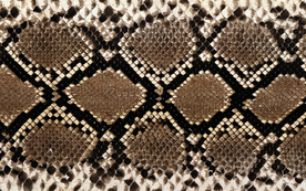 皮革纹理素材图片