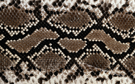 皮革纹理素材图片