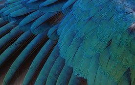 皮革纹理素材图片