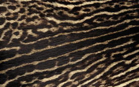 皮革纹理素材图片