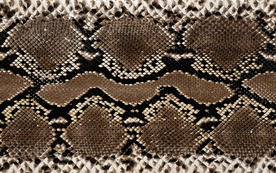 皮革纹理素材图片