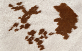 皮革纹理素材图片