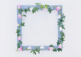 花朵相框图片