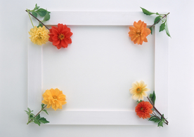 花朵相框图片