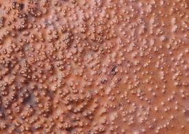 金属纹理材质图片