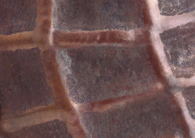 金属 纹理 花纹 金属花纹