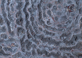 金属纹理材质图片