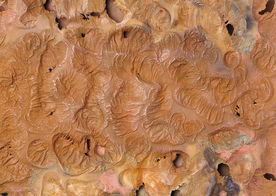 金属纹理材质图片