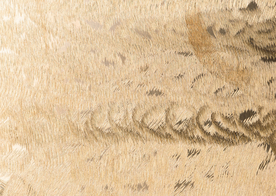 金属纹理材质图片