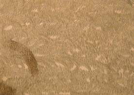 金属纹理材质图片