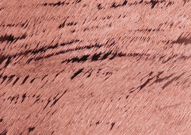 金属纹理材质图片