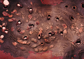 金属纹理材质图片