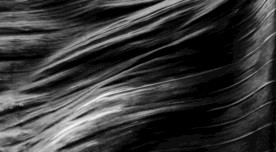 黑色木纹背景图纹理波浪