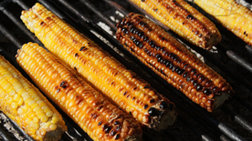 玉米五谷杂粮图片