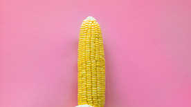 玉米五谷杂粮图片