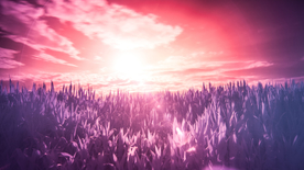 唯美晚霞日落图片