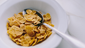 燕麦五谷杂粮图片