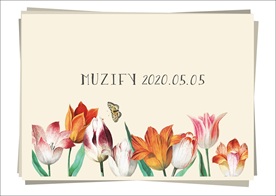 郁金香 花边底纹