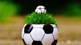 草坪足球特写图片