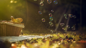 午后泡泡绚丽图片