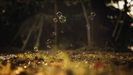 午后泡泡绚丽图片