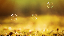 午后泡泡绚丽图片