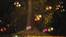 午后泡泡绚丽图片