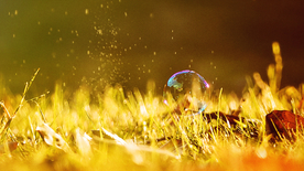 午后泡泡绚丽图片