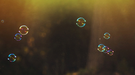 午后泡泡绚丽图片