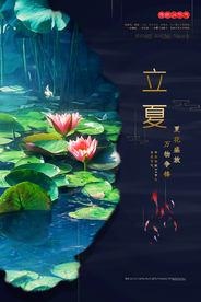 立夏山水荷花海报