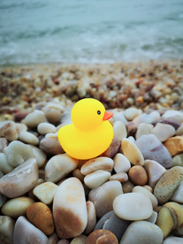 长岛风景 月牙湾 小黄鸭