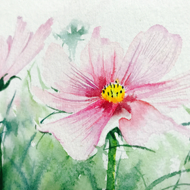 水彩彩铅绘画植物花朵