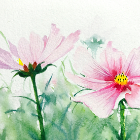 水彩彩铅绘画植物花朵