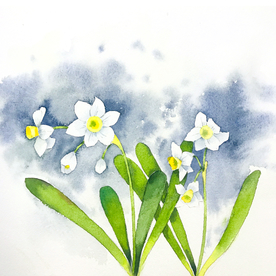 水彩彩铅绘画植物花朵