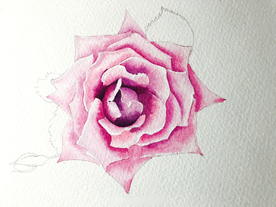 水彩彩铅绘画植物花朵