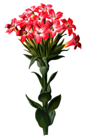 复古花朵植物图案