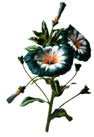 复古花朵植物图案