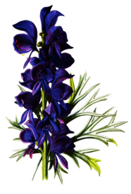 复古花朵植物图案