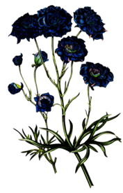 复古花朵植物图案