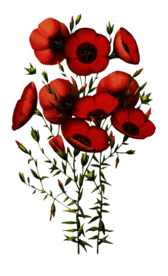 复古花朵植物图案