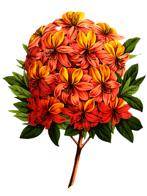 复古花朵植物图案