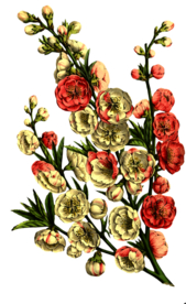 复古花朵植物图案